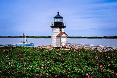Beach Roses by Natucket Island Lighthouse Guiding Fishing Boat